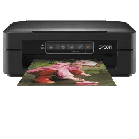 Epson XP-245-1